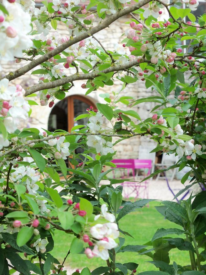 Chambres Et Jardin De Pierres Espédaillac Esterno foto
